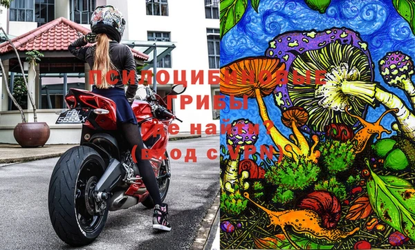 трава Армянск