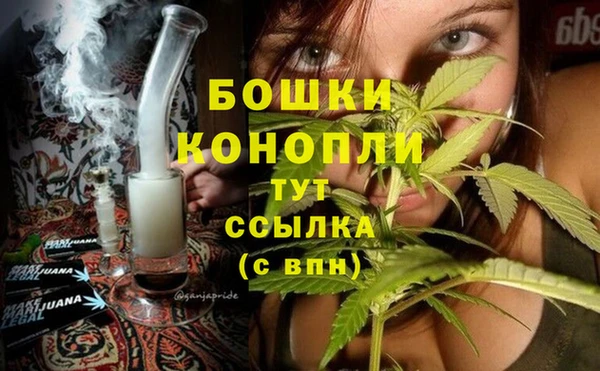 молекула духа Аркадак