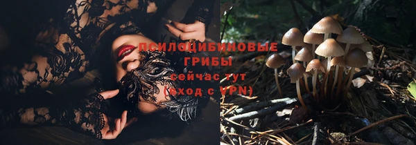 трава Армянск